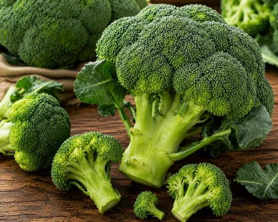 Fresh Broccoli